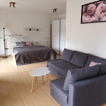 Apartment Archa Poděbrady Kültér fotó